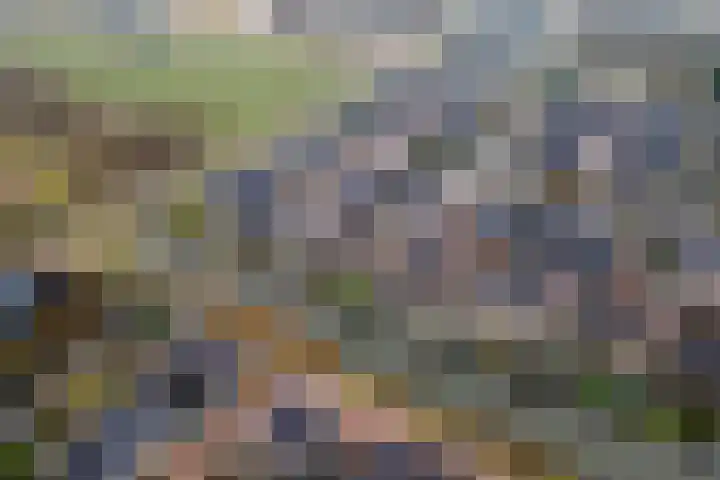 Pompmolen 28 Veenendaal thumbnail 47