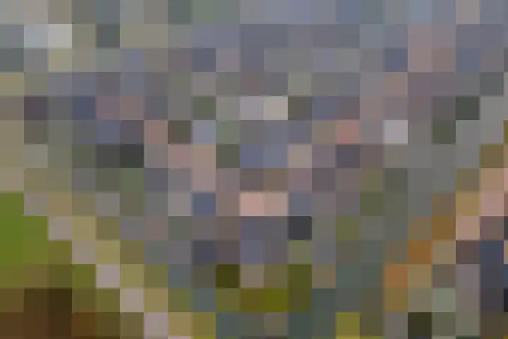 Pompmolen 28 Veenendaal thumbnail 48
