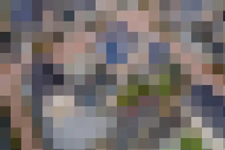 Pompmolen 28 Veenendaal thumbnail 49