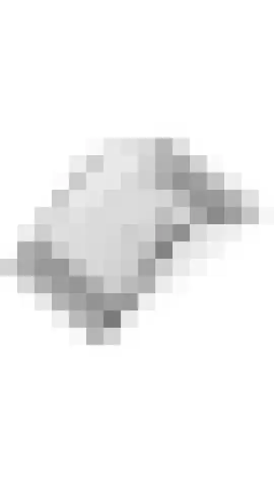 Pompmolen 28 Veenendaal thumbnail 55