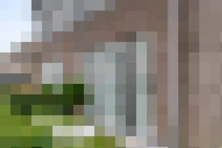 Pompmolen 28 Veenendaal thumbnail 6