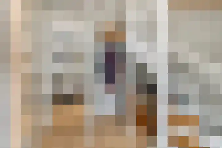 Pompmolen 28 Veenendaal thumbnail 7