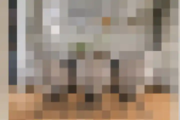 Pompmolen 28 Veenendaal thumbnail 8