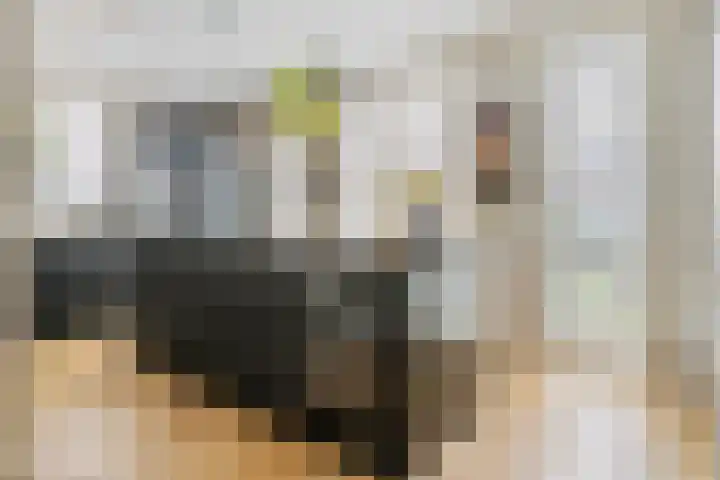 Pompmolen 28 Veenendaal thumbnail 9