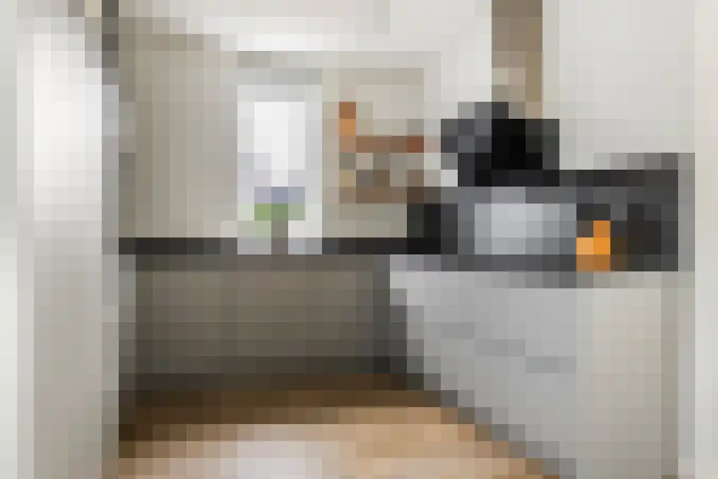 Pompmolen 32 Veenendaal thumbnail 13
