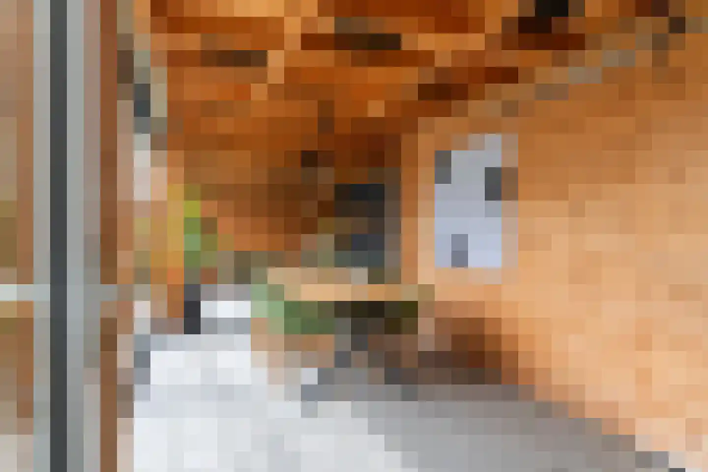 Pompmolen 32 Veenendaal thumbnail 16