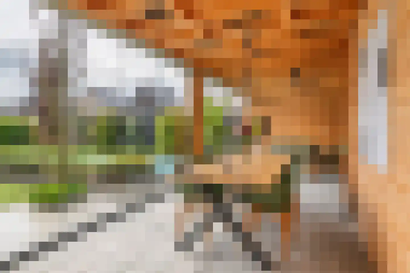 Pompmolen 32 Veenendaal thumbnail 17