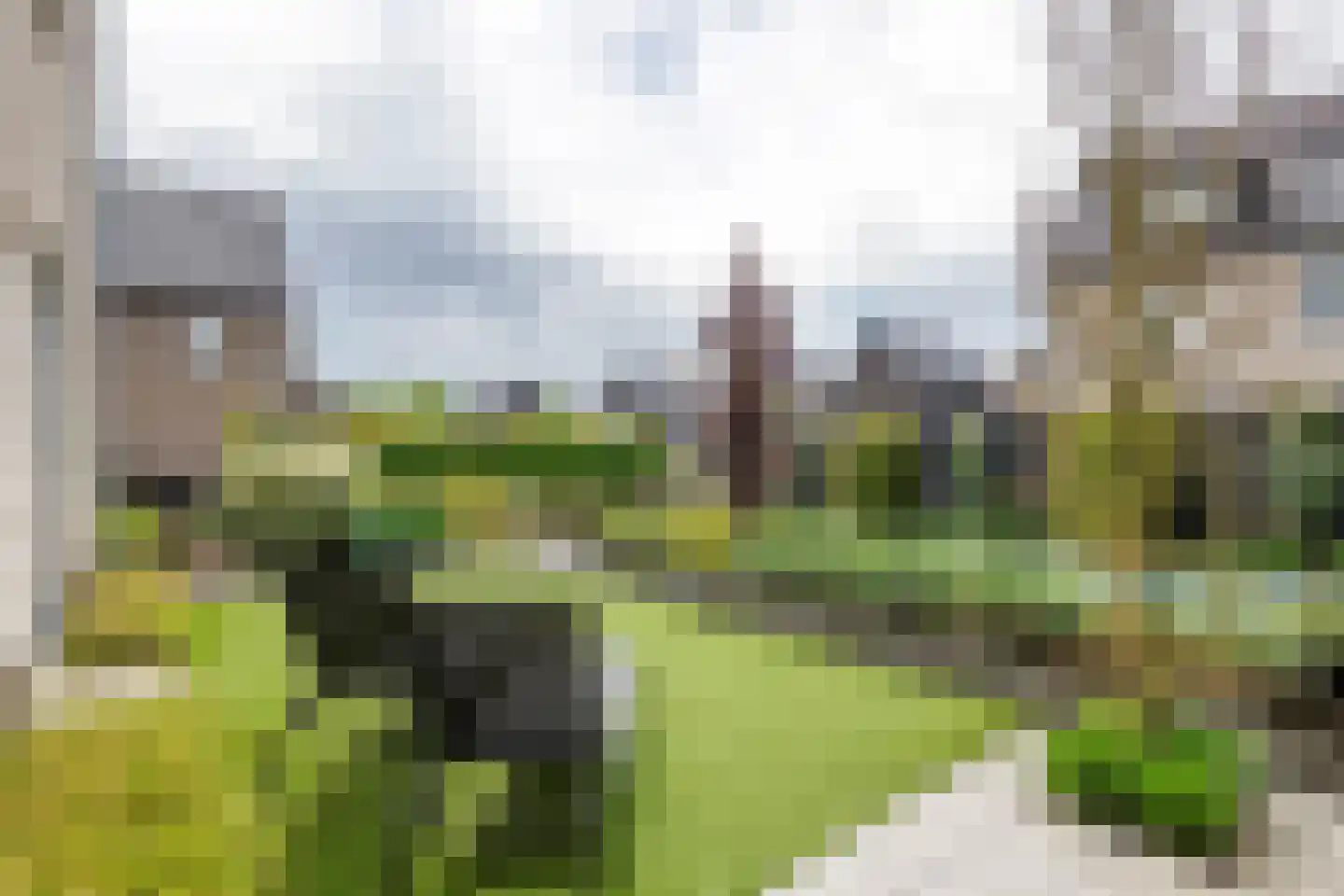 Pompmolen 32 Veenendaal thumbnail 24