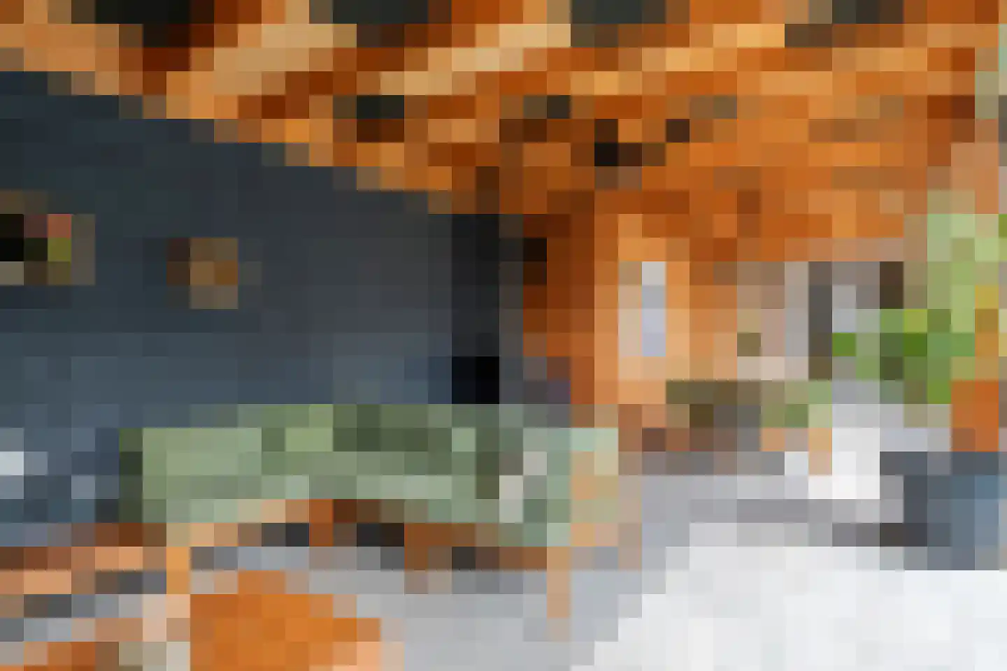 Pompmolen 32 Veenendaal thumbnail 4