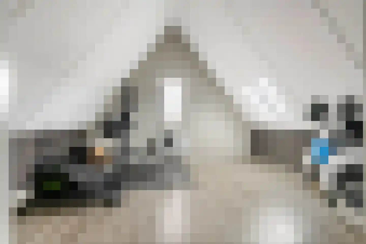 Pompmolen 32 Veenendaal thumbnail 42