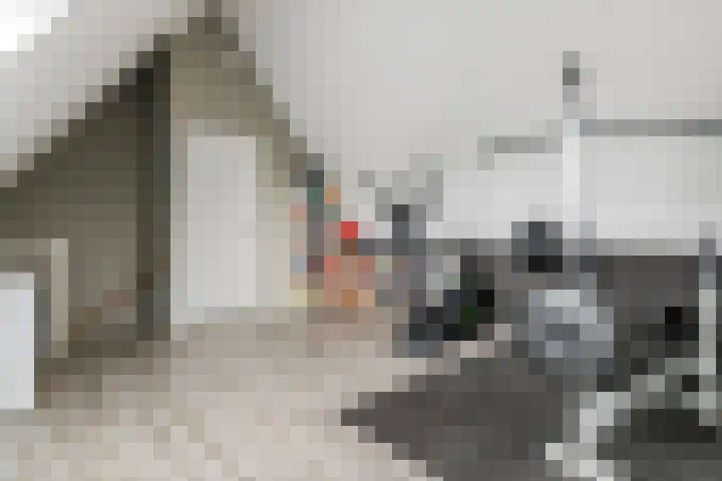 Pompmolen 32 Veenendaal thumbnail 43