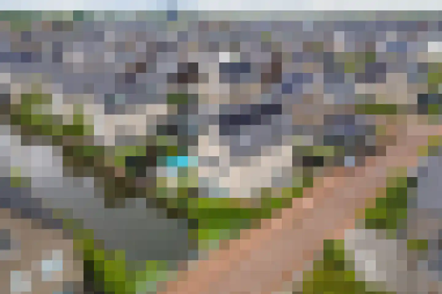 Pompmolen 32 Veenendaal thumbnail 5