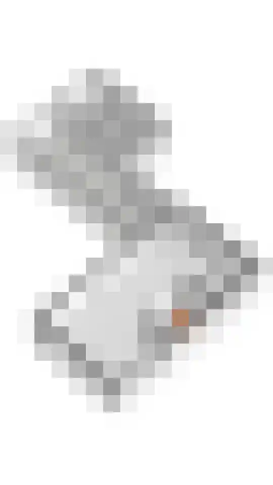 Pompmolen 32 Veenendaal thumbnail 53
