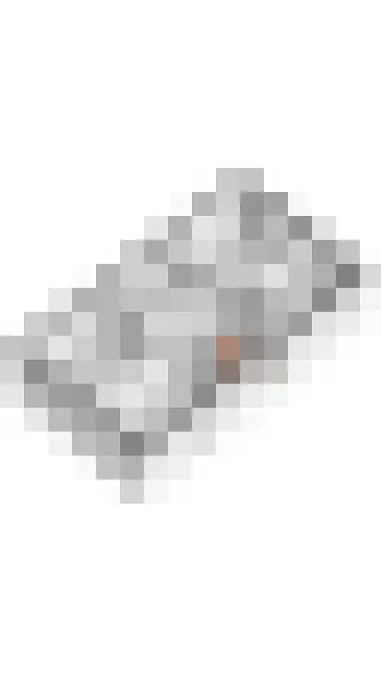 Pompmolen 32 Veenendaal thumbnail 55