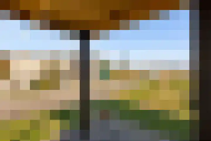 Pompoenweg 21 Almere thumbnail 19