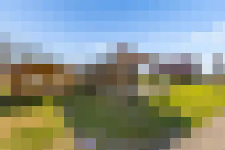 Pompoenweg 21 Almere thumbnail 22