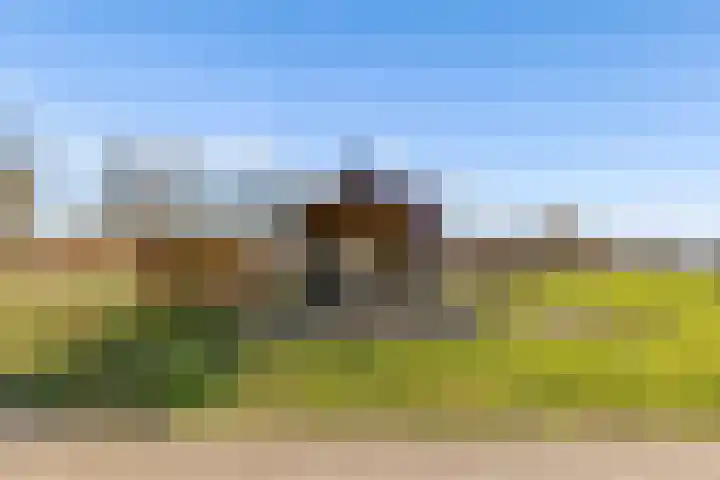 Pompoenweg 21 Almere thumbnail 4
