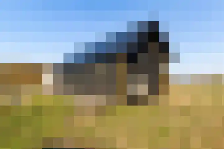 Pompoenweg 21 Almere thumbnail 5
