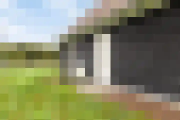 Pompoenweg 31 Almere thumbnail 32