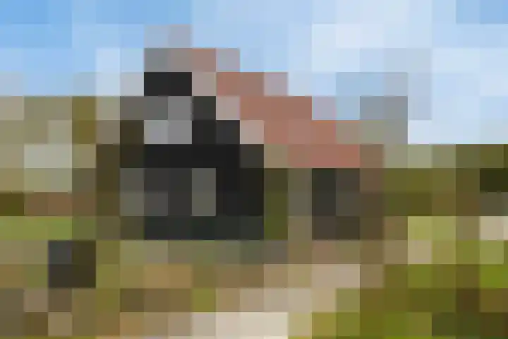 Pompoenweg 31 Almere thumbnail 7