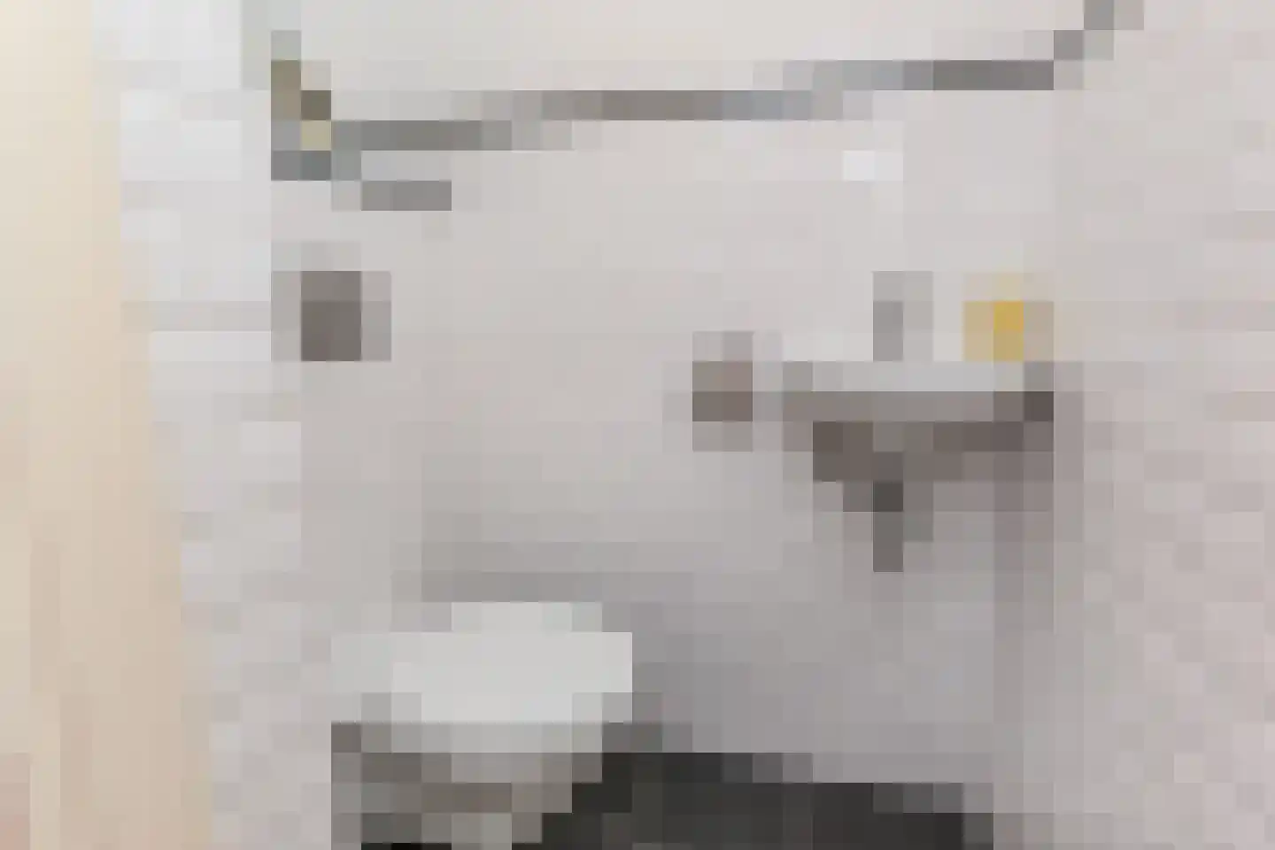 Pompstationsweg 18 Den Haag thumbnail 11