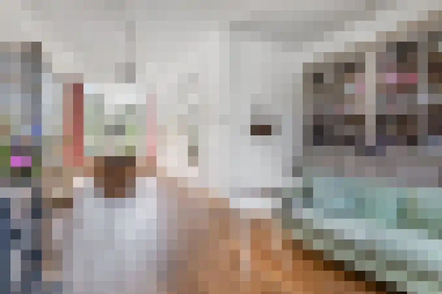 Pompstationsweg 18 Den Haag thumbnail 14