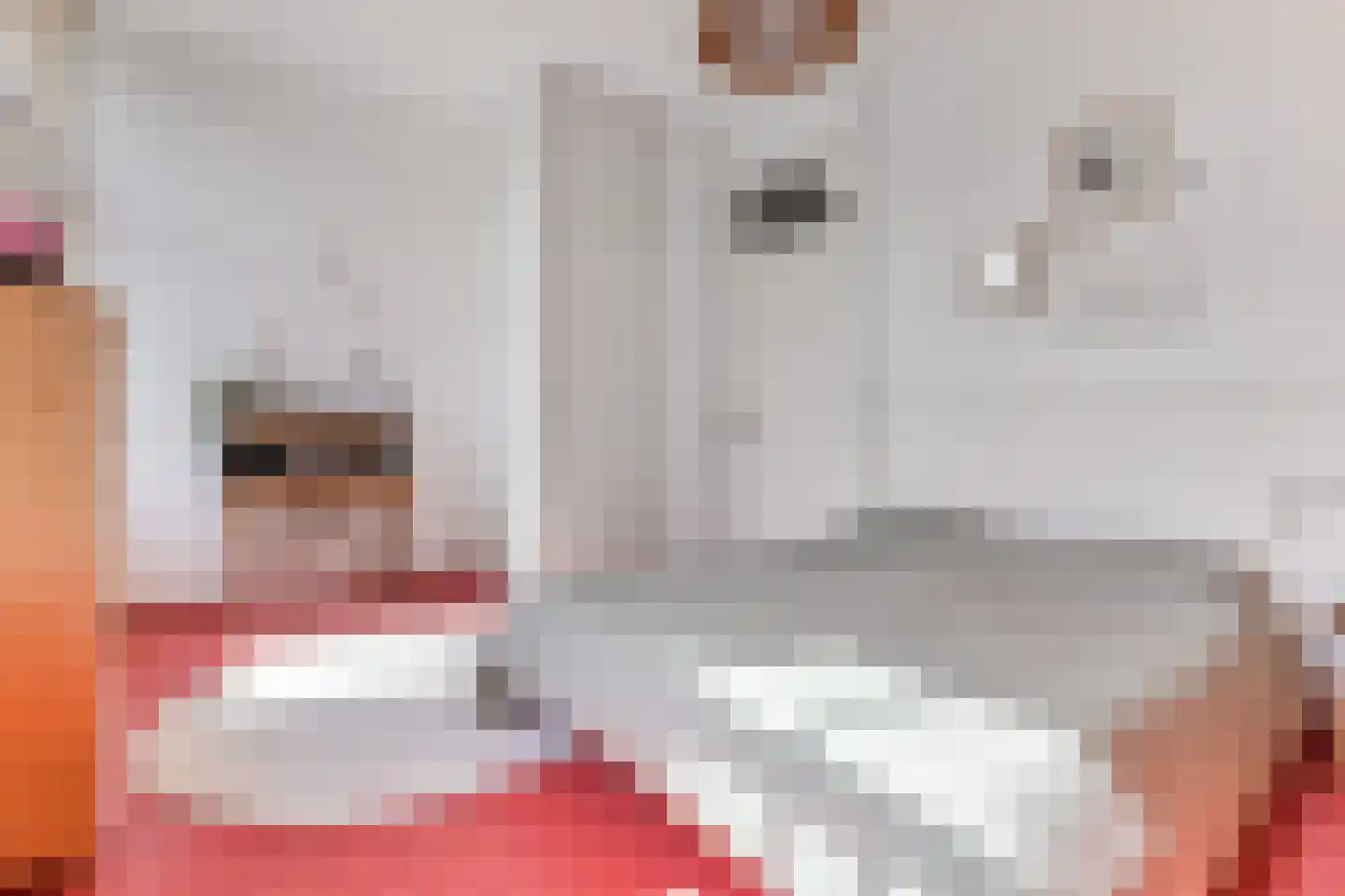 Pompstationsweg 18 Den Haag thumbnail 34