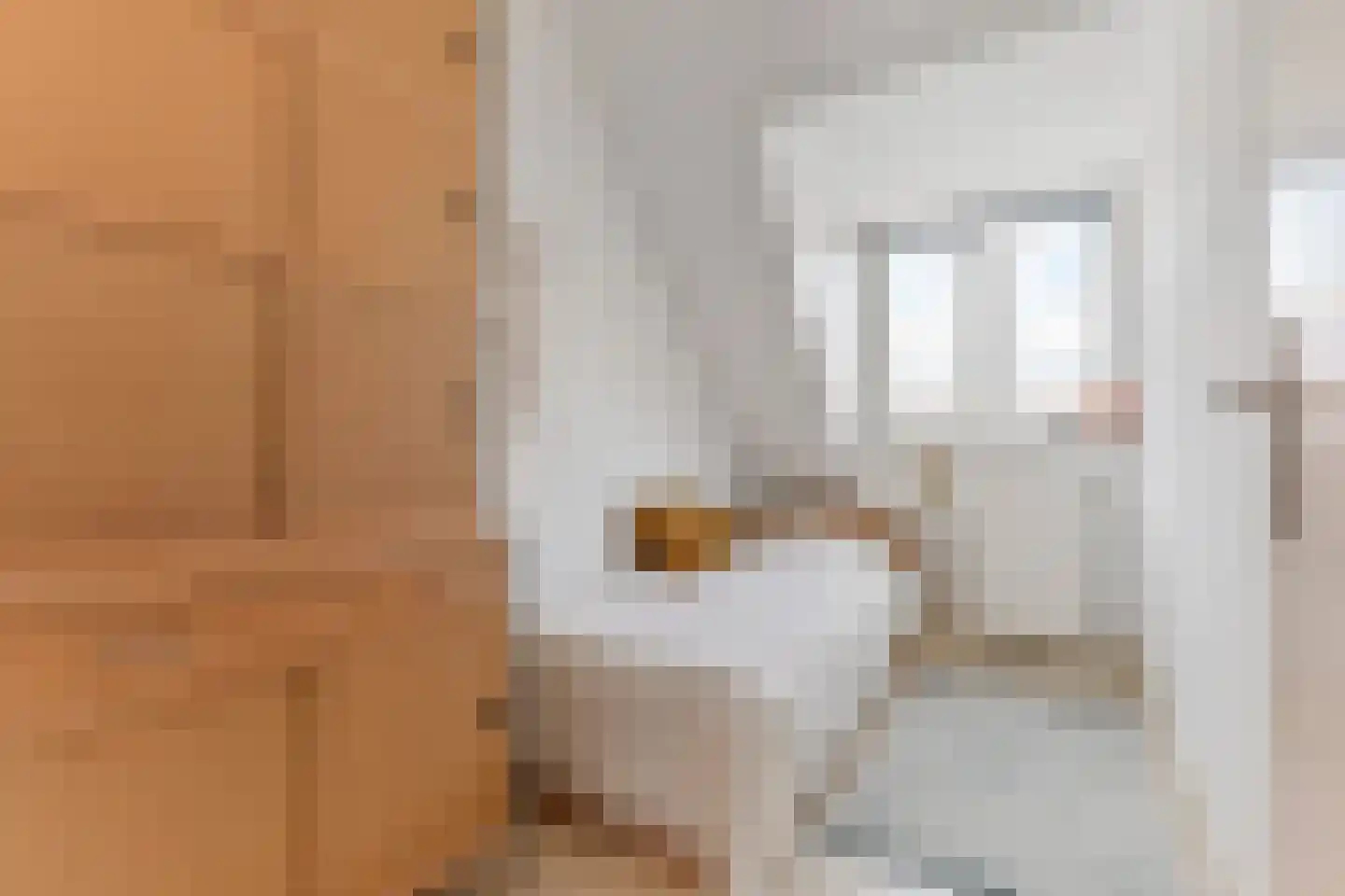 Pompstationsweg 18 Den Haag thumbnail 37