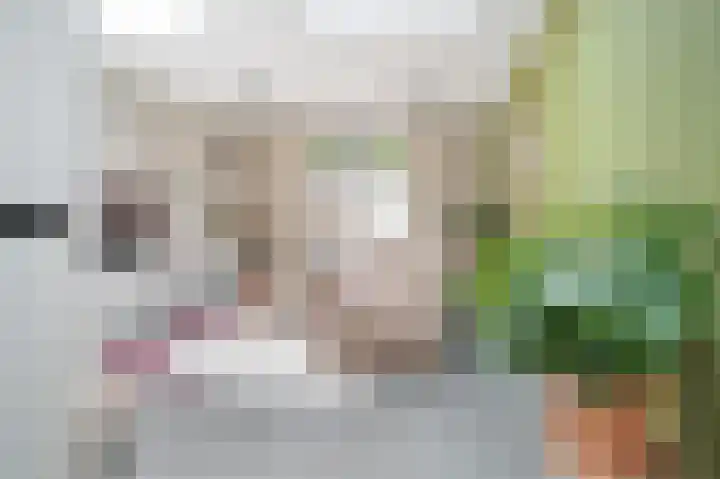 Pompstraat 39 Schijndel thumbnail 4
