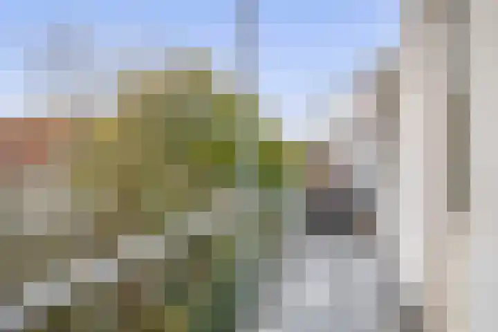 Pompstraat 40 B 02 Rotterdam thumbnail 24