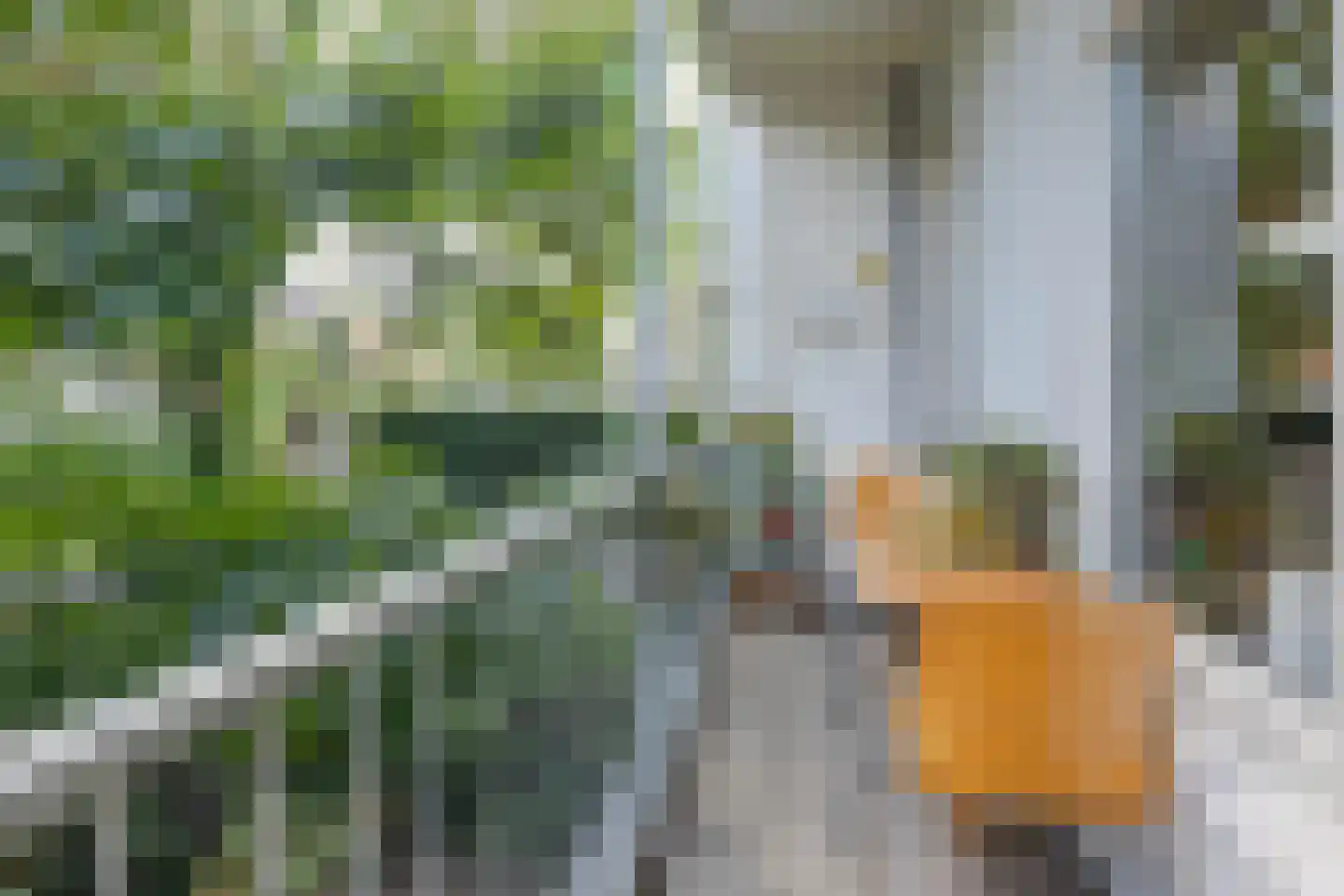 Pompstraat 42 Rotterdam thumbnail 28