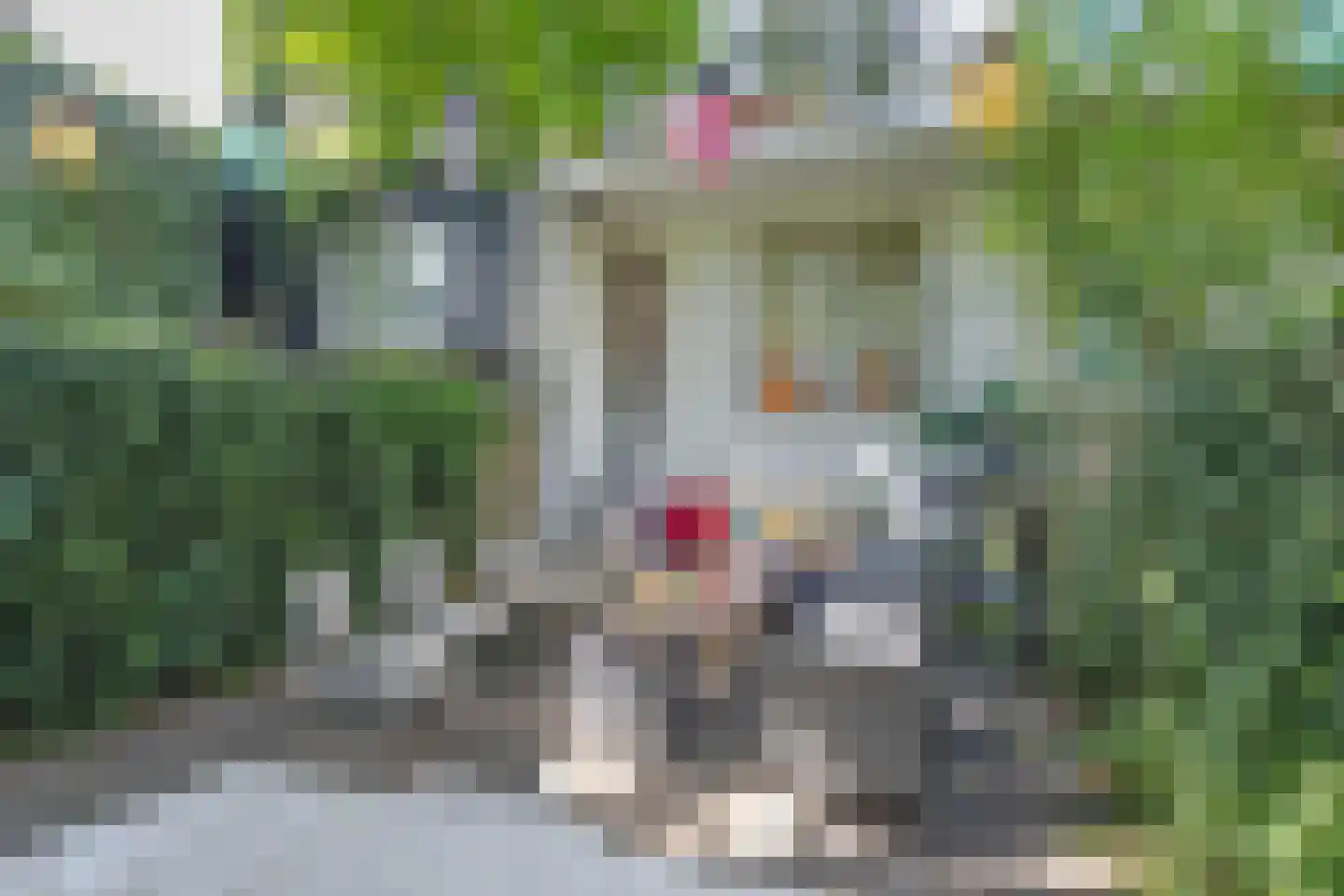 Pompstraat 42 Rotterdam thumbnail 4