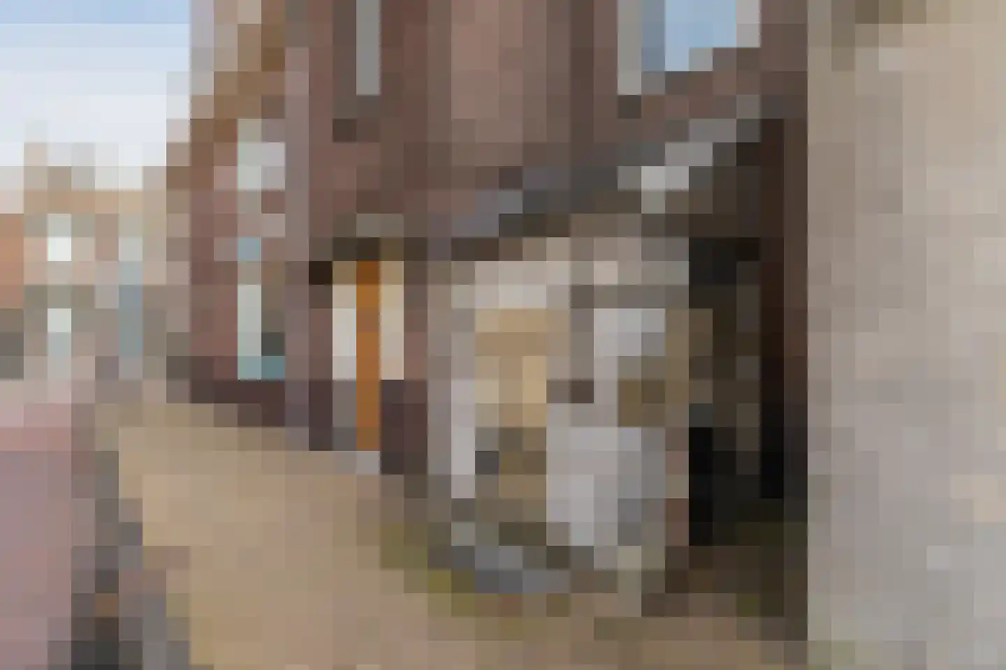 Pompstraat 58 Gorinchem thumbnail 25
