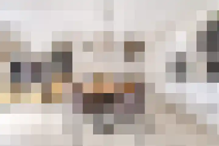 Pompwater 32 Houten thumbnail 15