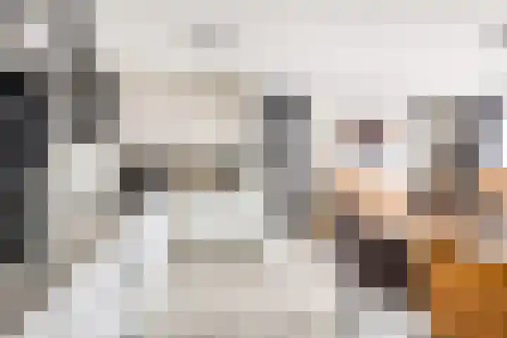 Pompwater 32 Houten thumbnail 17