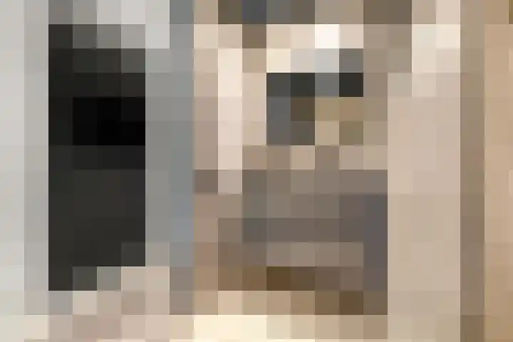 Pompwater 32 Houten thumbnail 29
