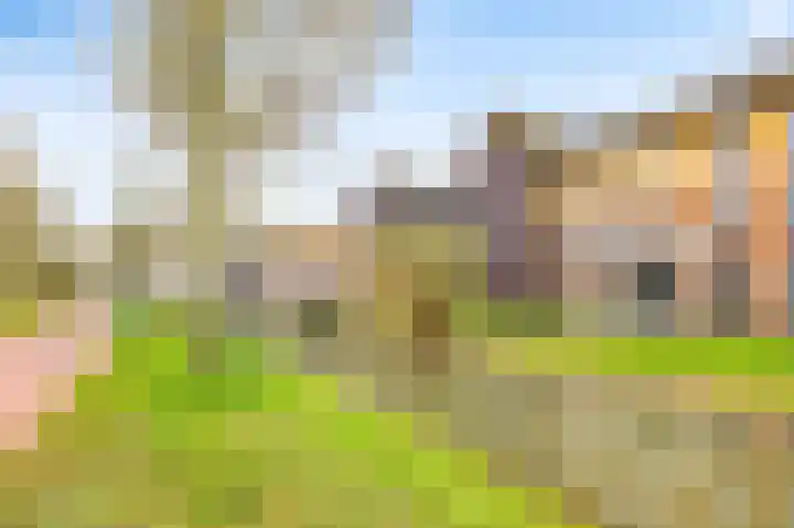 Pompwater 32 Houten thumbnail 45