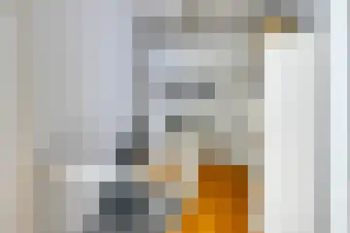 Pompweg 12 Ubbergen thumbnail 14