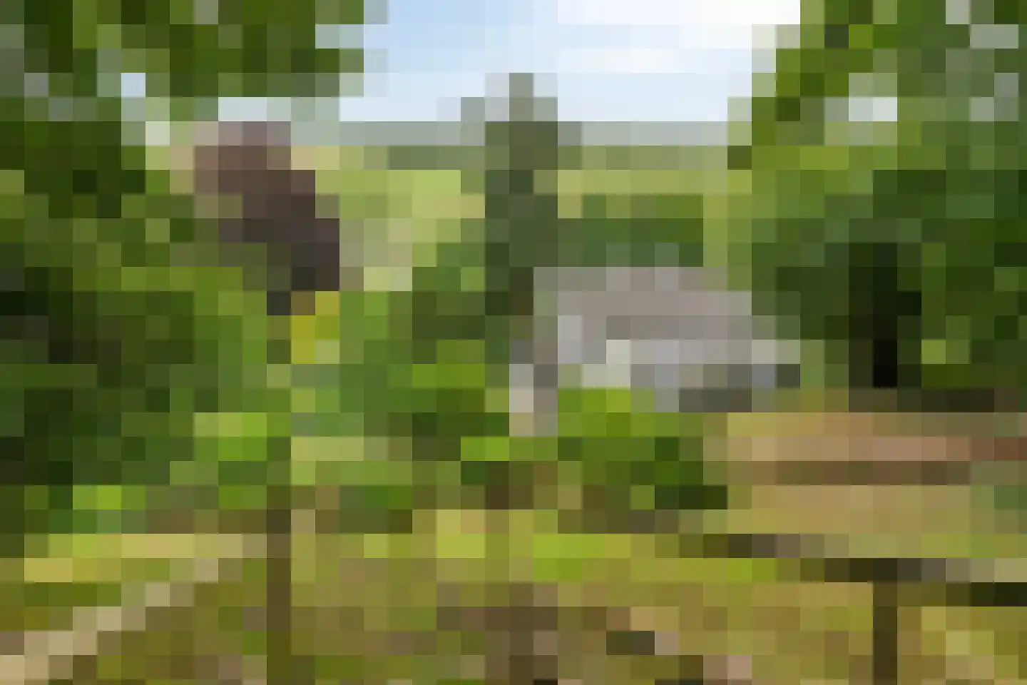 Pompweg 12 Ubbergen thumbnail 30