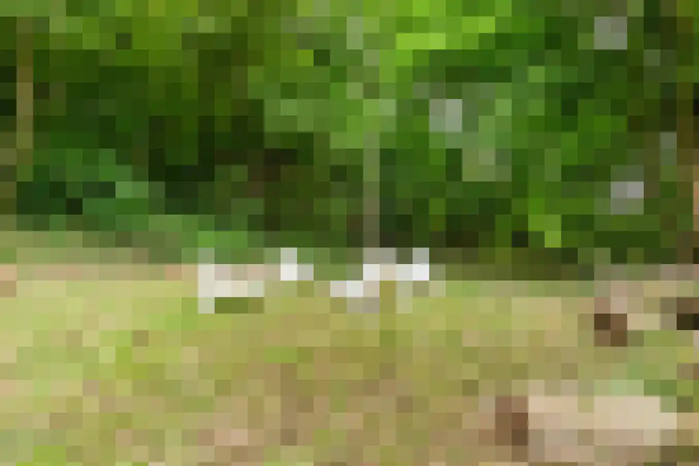 Pompweg 12 Ubbergen thumbnail 31