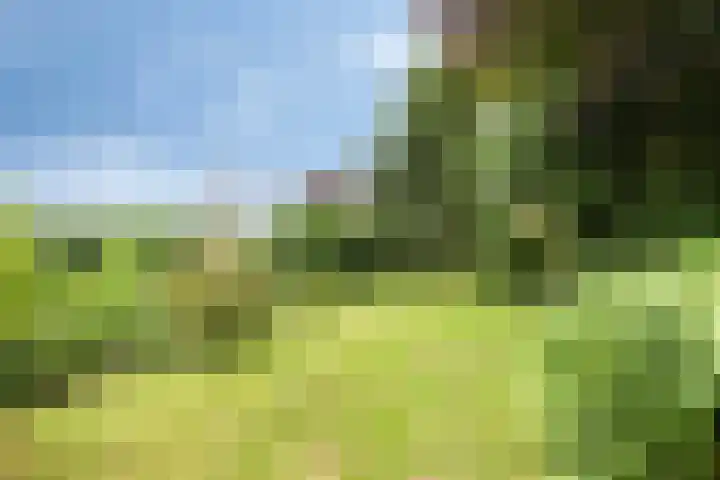 Pompweg 12 Ubbergen thumbnail 32