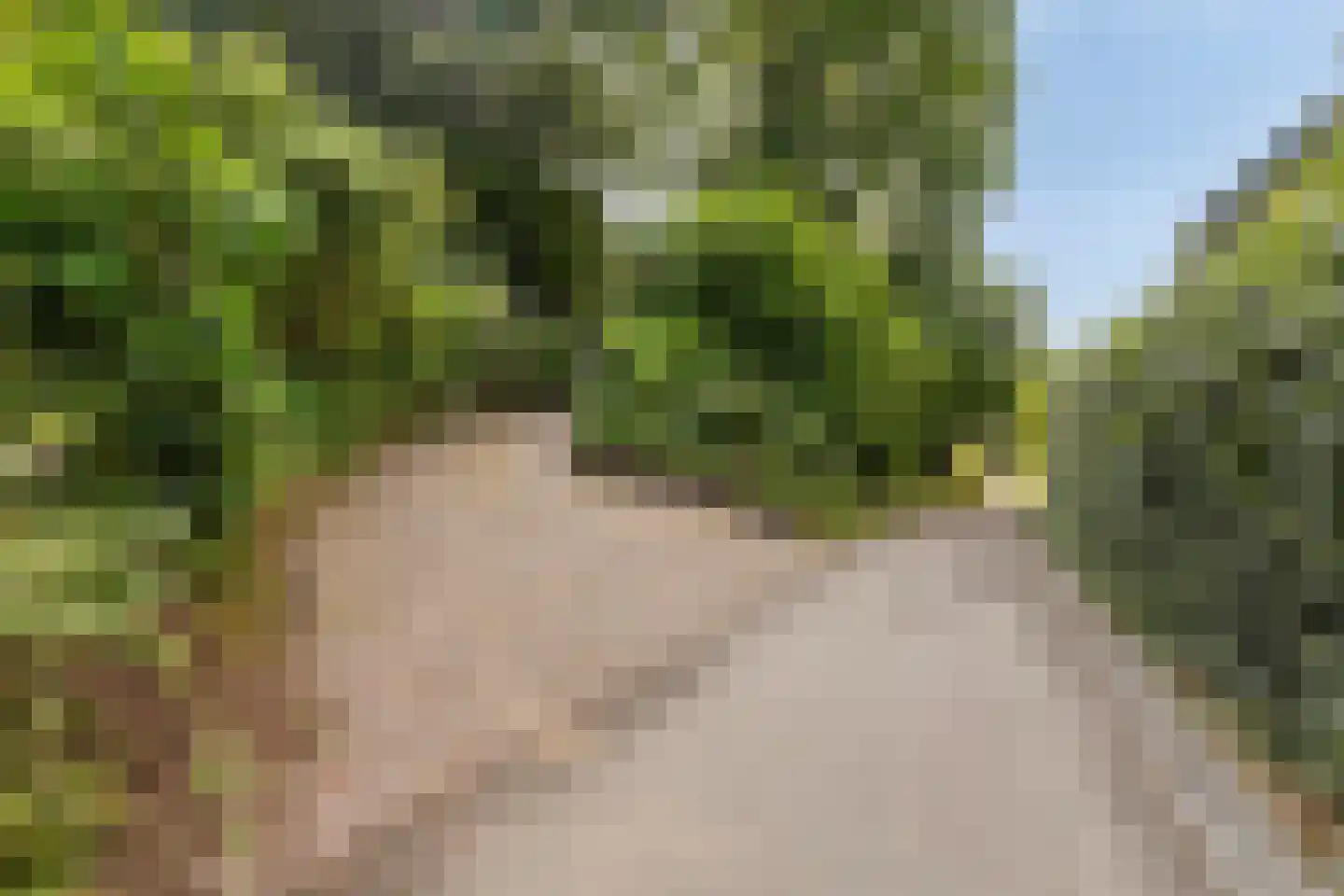 Pompweg 12 Ubbergen thumbnail 33