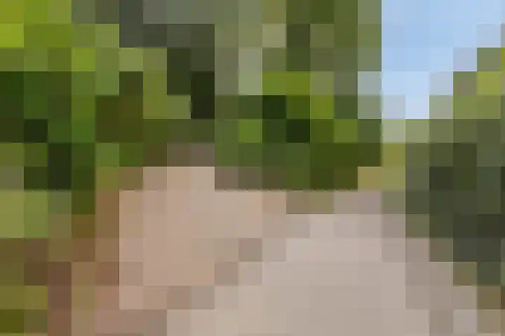 Pompweg 12 Ubbergen thumbnail 33