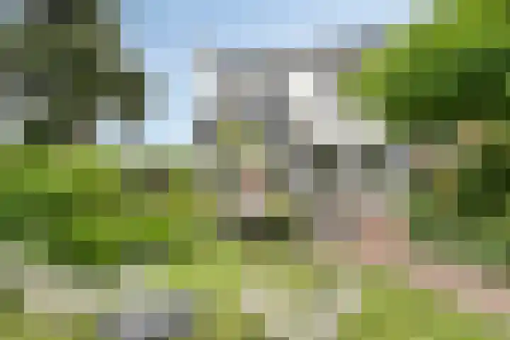 Pompweg 12 Ubbergen thumbnail 34