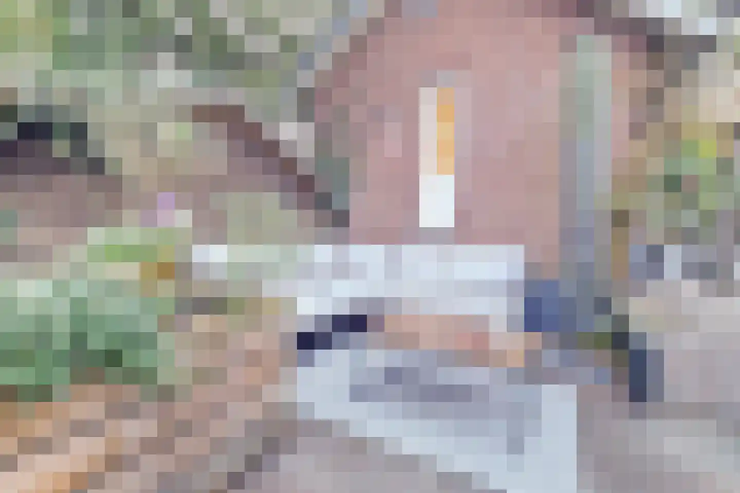 Pompweg 3 Ubbergen thumbnail 28