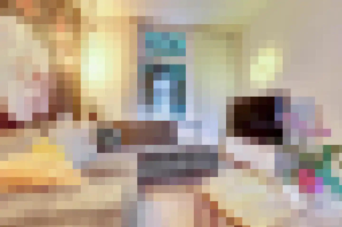Pompweg 3 Ubbergen thumbnail 5