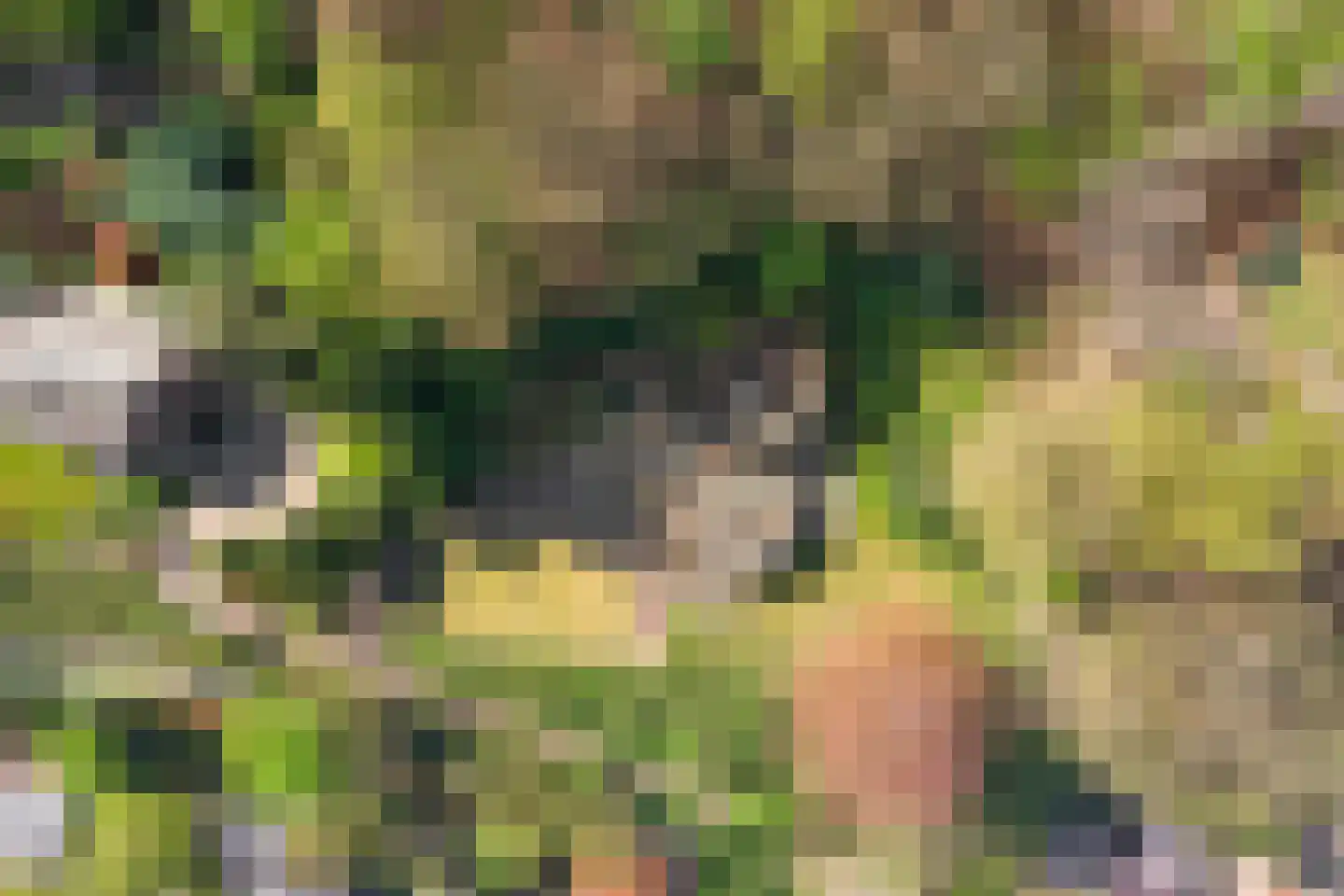 Pompweg 8 Ubbergen thumbnail 4