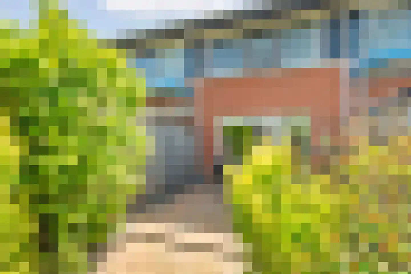 Pond Sterlinglaan 52 Amsterdam thumbnail 14