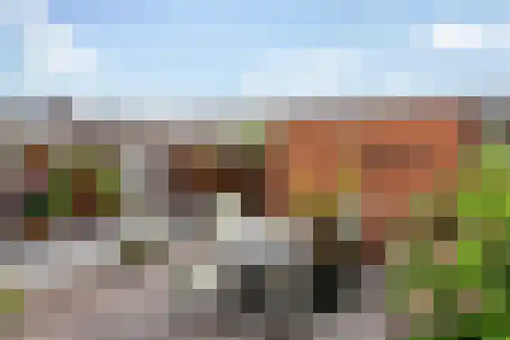 Ponddreef 14 Woerden thumbnail 28