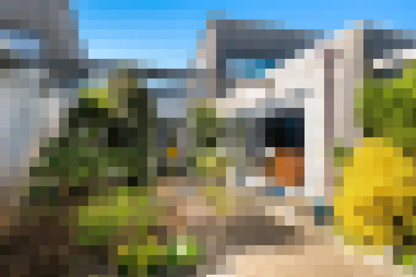 Ponddreef 19 Woerden thumbnail 22